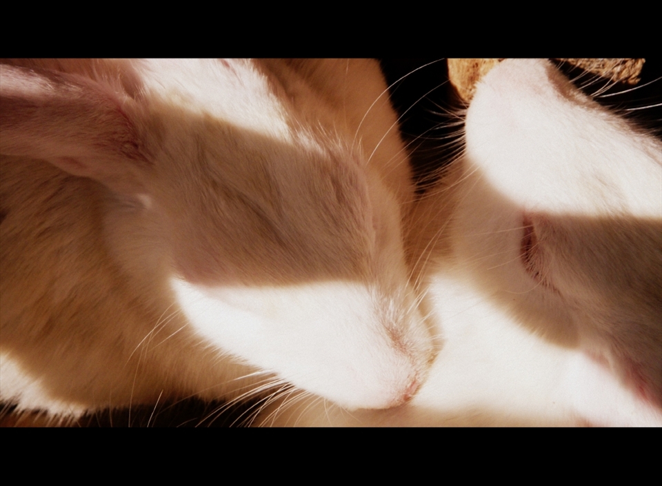 Pure love, irrespective of tough times, or happy times we remain as a one soul 