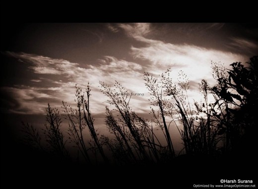 no matter what, let keep ourselves strong enough to accept what life offers to us BE GROUNDED