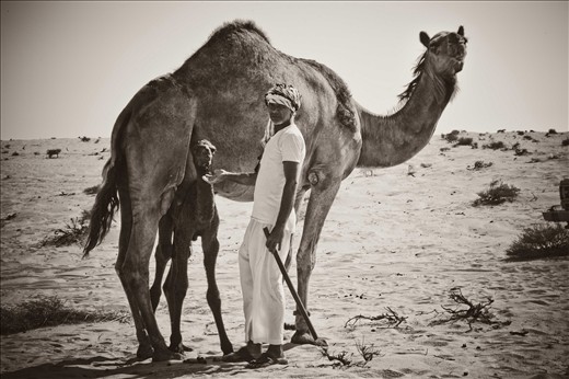 far in the desert of Qatar