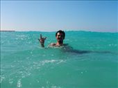 by hashemgad, Views[174]
