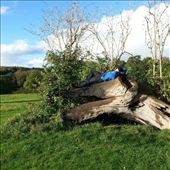 by hashemgad, Views[180]