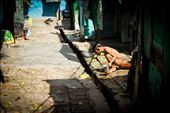 A boy takes a bath outside his slum home: by hashimhakeem, Views[320]