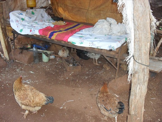 The outdoor bedroom at the oldman's backyard. When the oldman is resting or reading the bible, the space under the bed let his pet take a nap and also an easy way to keep his stuffs when lying on the bed.