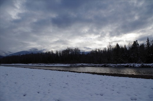 The winter is cold and dark, with the eerie sense of death in the air. Between the snow and river rocks lie thousands of salmon carcases. It is this special spot that eagles return to every year, in fewer numbers in recent times. Hopefully capturing the beauty of Brackendale will help preserve it.