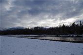The winter is cold and dark, with the eerie sense of death in the air. Between the snow and river rocks lie thousands of salmon carcases. It is this special spot that eagles return to every year, in fewer numbers in recent times. Hopefully capturing the beauty of Brackendale will help preserve it.: by hautepower, Views[384]