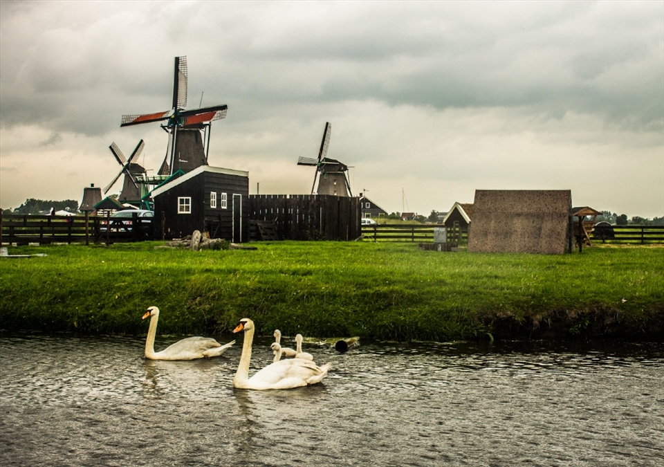 The Neatherlands are not made only of bars, clubs and restaurants. There are also farm places with windmills, like at Zaanse Schans Park.