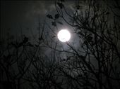 Glamour of the moon...!!!: by hawkeye, Views[403]