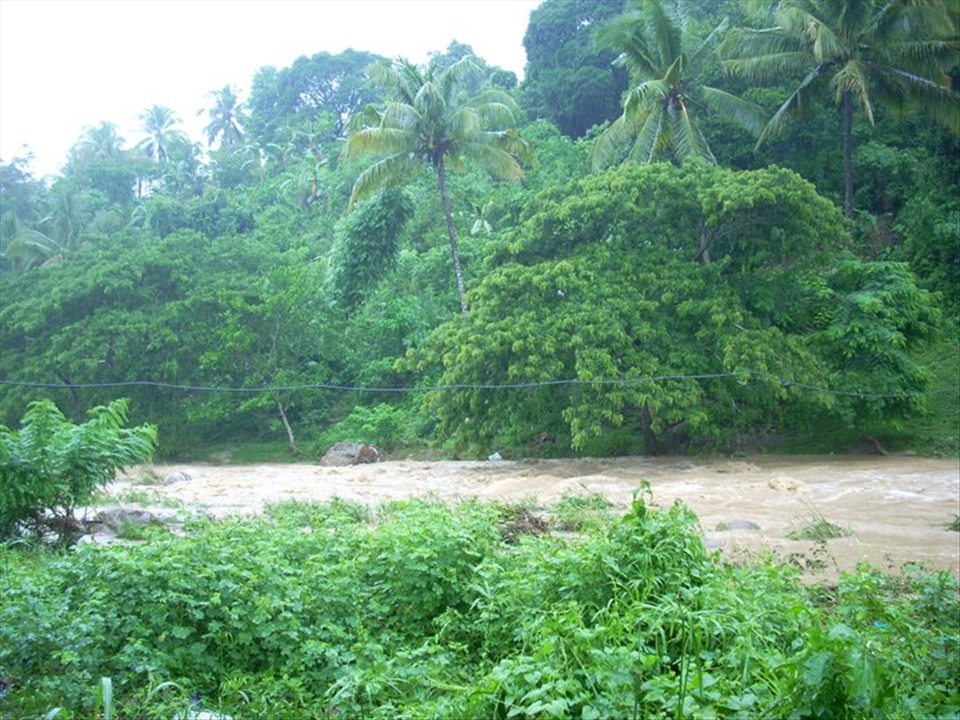 Save Green -Oxygen for US-2