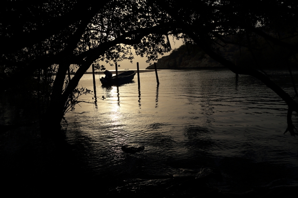 A view of sunset from the Mangrove forest. The thick, dark and inaccessible forest, naturally retards the public, still some people enter the forest for illegal fishing or picnic. Vigilant protection for the forest is needed.