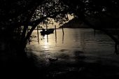 A view of sunset from the Mangrove forest. The thick, dark and inaccessible forest, naturally retards the public, still some people enter the forest for illegal fishing or picnic. Vigilant protection for the forest is needed.: by hawwa, Views[1118]