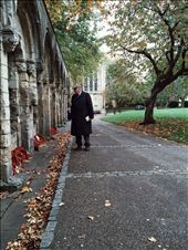 Taken on my iPhone shortly before the centenary for the First World War. : by haydn, Views[237]