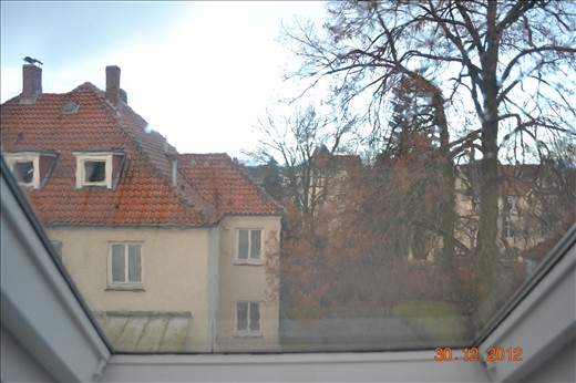 Out my window this morning, Raining!! 