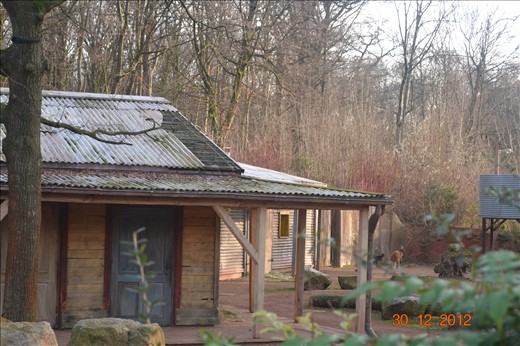 The Australian Outback