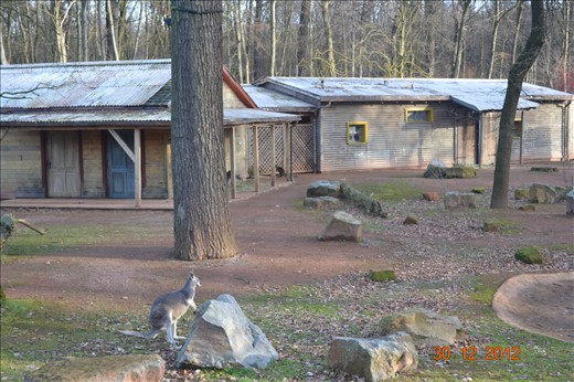 The Australian Outback