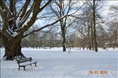 More snow : by hayleyrochelle, Views[170]