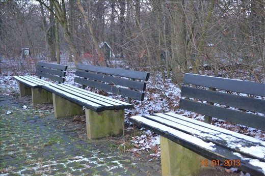 Just some seats in a Forrest 