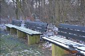 Just some seats in a Forrest : by hayleyrochelle, Views[290]