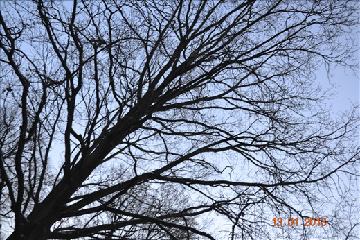 My awesome photography! 