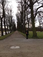 At herrenhause : by hayleyrochelle, Views[272]
