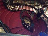 The incredible staircase in Livraria Lello. : by hayleythenomad, Views[440]