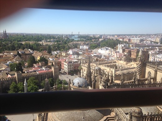 View from La Giralda, Catedral de Sevilla