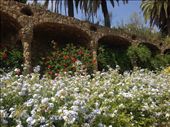 Park Guell, Barcelona: by hayleythenomad, Views[359]