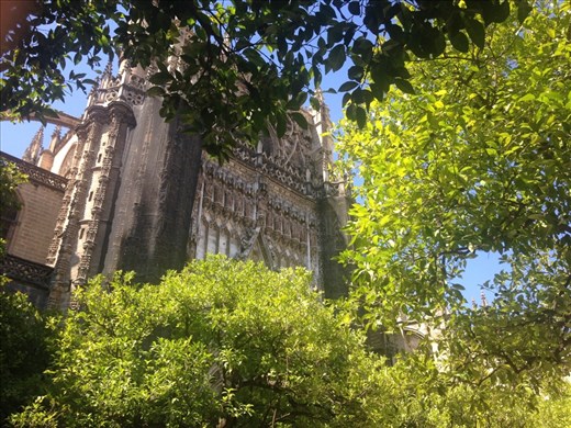 Catedral de Sevilla 