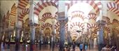 La Mezquita, Córdoba : by hayleythenomad, Views[171]