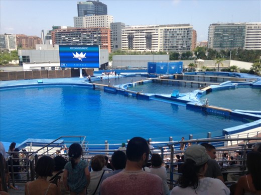Dolphinarium, Oceanographique, Valencia. It's th largest dolphinarium in Europe!