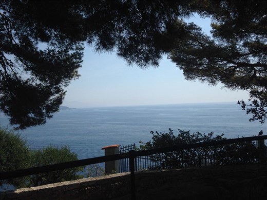 The casual view from my reading spot, Monaco 