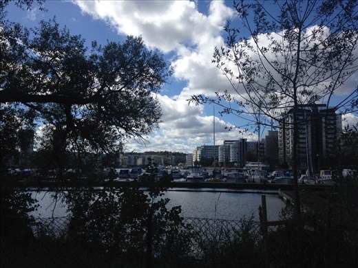 Hash brown no filter