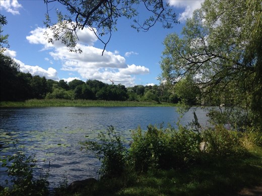 The alright view when I sat down on a bunch along Hornstull Strand