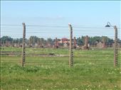 Auschwitz II-Birkenau: by hayleythenomad, Views[283]