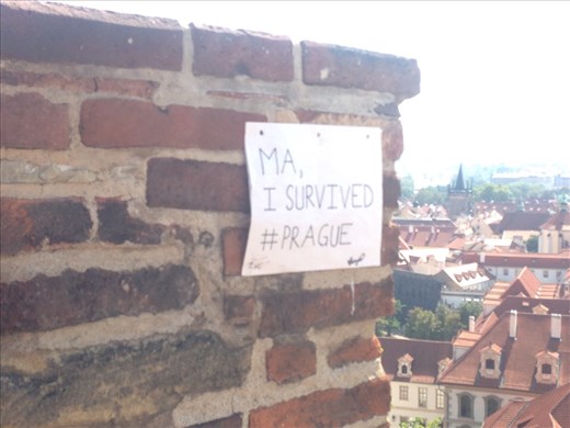 Just in case you were wondering Mom