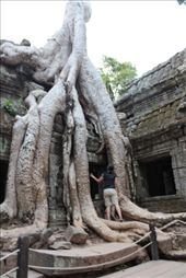 by hazzard86, Views[153]