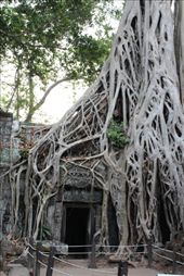 by hazzard86, Views[183]