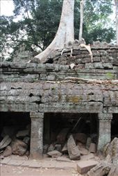 by hazzard86, Views[159]