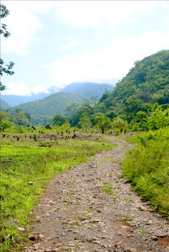 The drive up to Lote Ocho. The same route taken by the rapists.