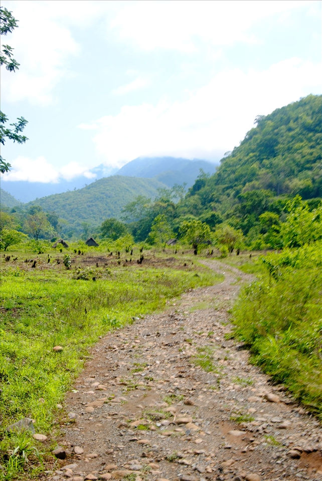 The drive up to Lote Ocho. The same route taken by the rapists.