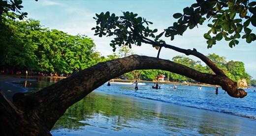 You can swim, surfing, or only sunbathing in Batukaras