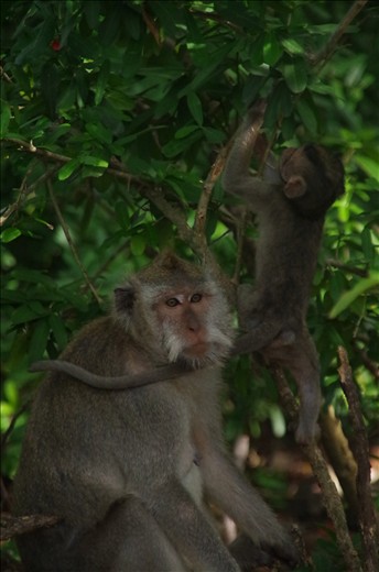 New life is all around