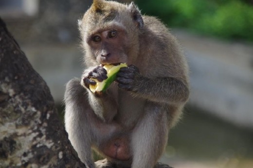 The expression is priceless. They were intrigued by the sound of my camera click. 
