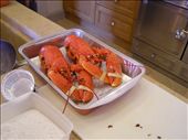 And the lobsters are cooked.: by heathersbleathers, Views[203]