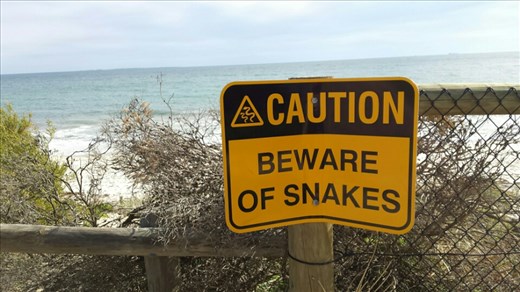 One of our priorities for the next 6 months.
Wir werden unsere Augen offen halten oder besser gesagt, immer schoen auf den Boden gerichtet, wenn wir uns nicht gerade die schoene Gegend anschauen.