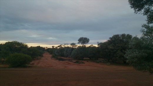 The first night camping went really well. Today the sky is grey with patches of blue. But by the end of the day it is raining. We are now in Newman. Tomorrow Karijini.