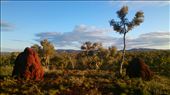 Our view... : by heffmann, Views[222]