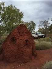 Termite hill... One of many!: by heffmann, Views[214]