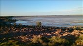 From Karijini NP to Port Hedland. Diesel is cheap in PH. More importantly it's warm after Auskie Roadhouse where the wind was freezing. We camped that night at Cape Keraudren. Such an awesome spot. : by heffmann, Views[241]