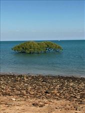 by heffmann, Views[205]