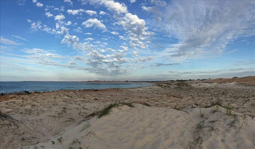 This photo was taken by my sister-in-law on her iPhone. It takes great photos.